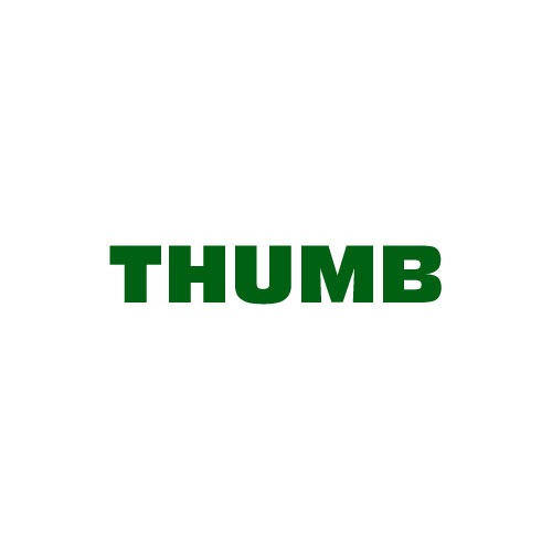 Dingbat Game #300 » THUMB » LEVEL 0